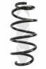 SPIDAN 86613 Coil Spring